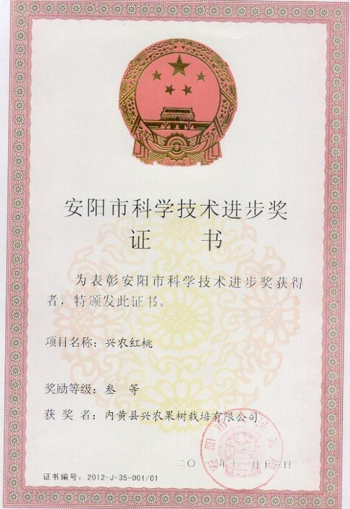 科技进步奖