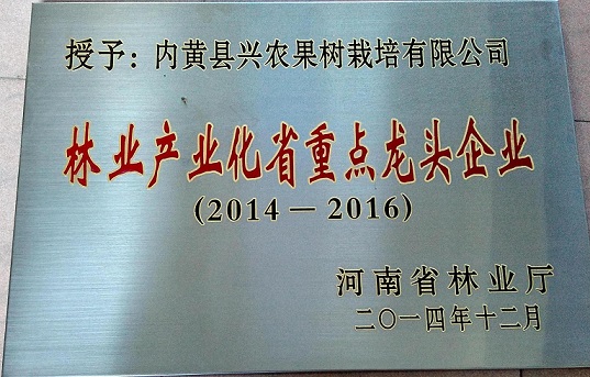 省重点龙头协会