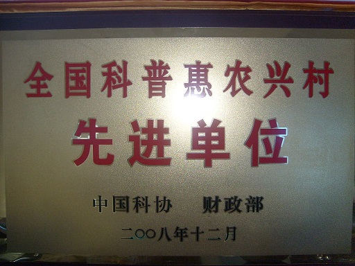 先进单位