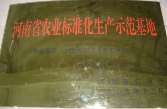 农业标准化生产基地