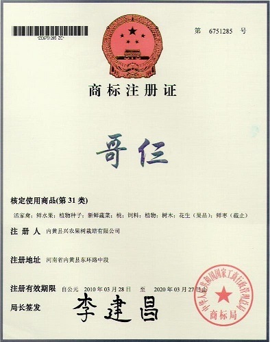 哥仨商标