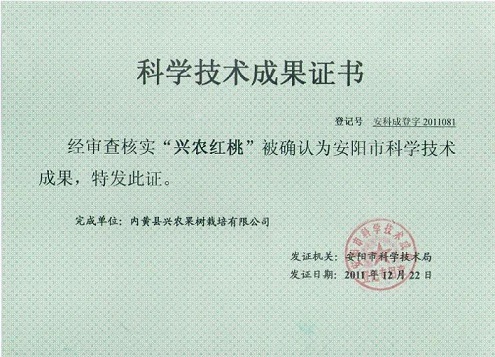 科技成果奖