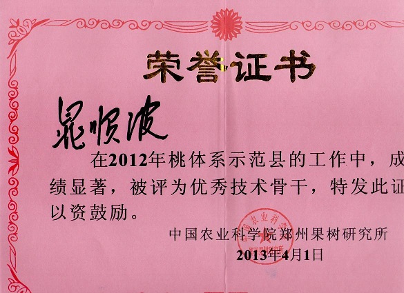 优秀技术骨干