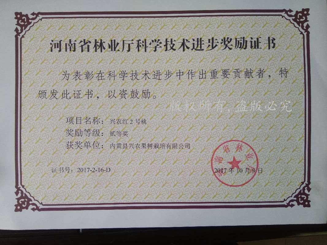 兴农红2号