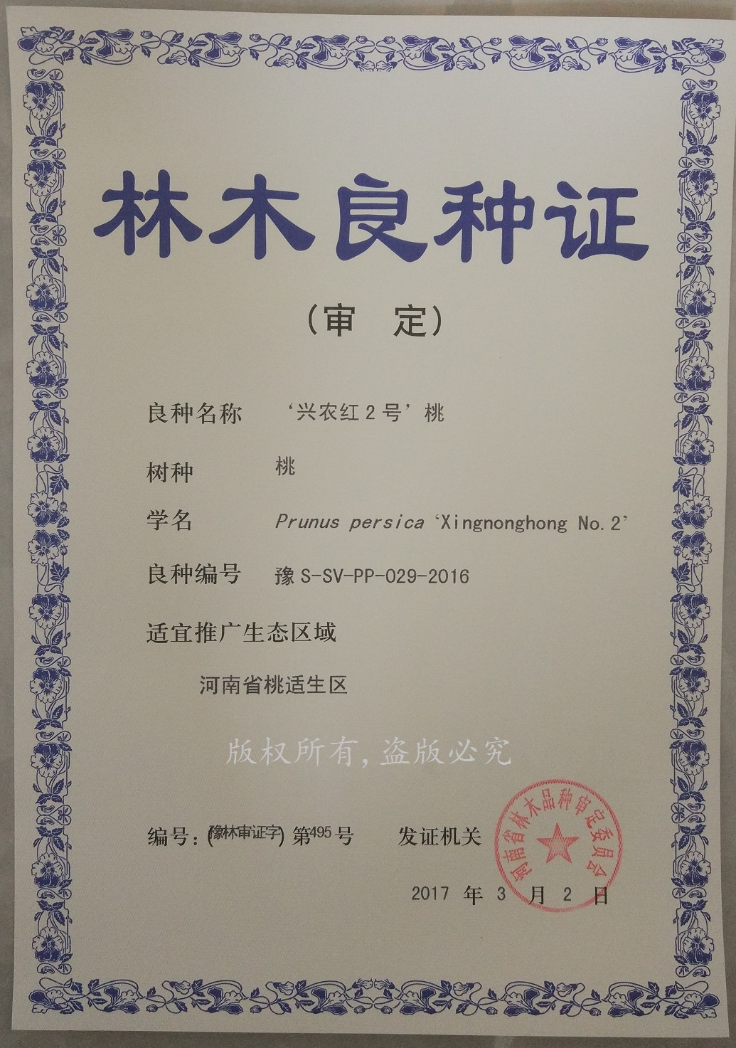 兴农红2号