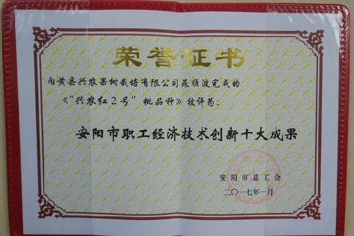 兴农红2号