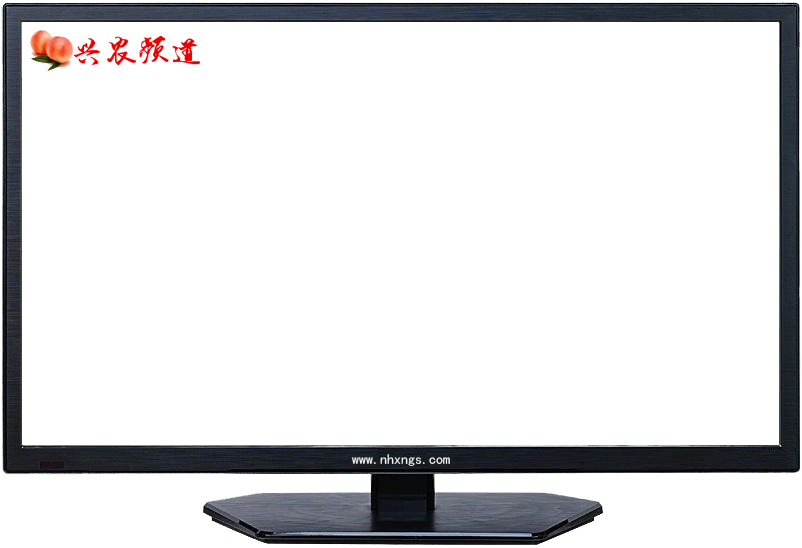 兴农频道